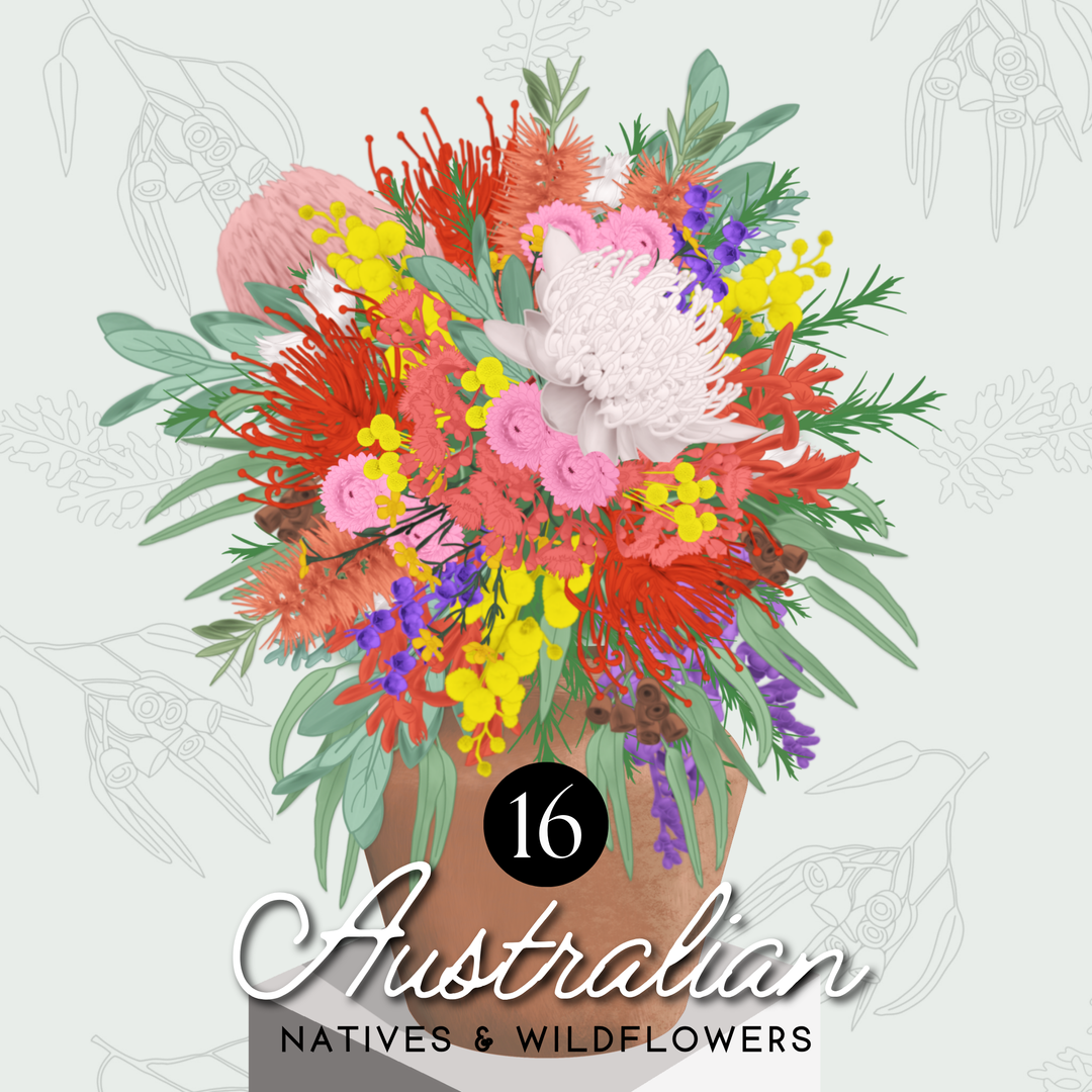 Natives & Wildflowers Edition - Flowers & Foliage Procreate Pack - Digital Cake Sketching