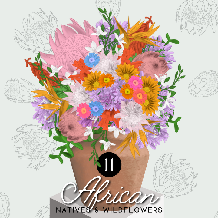 Natives & Wildflowers Edition - Flowers & Foliage Procreate Pack - Digital Cake Sketching