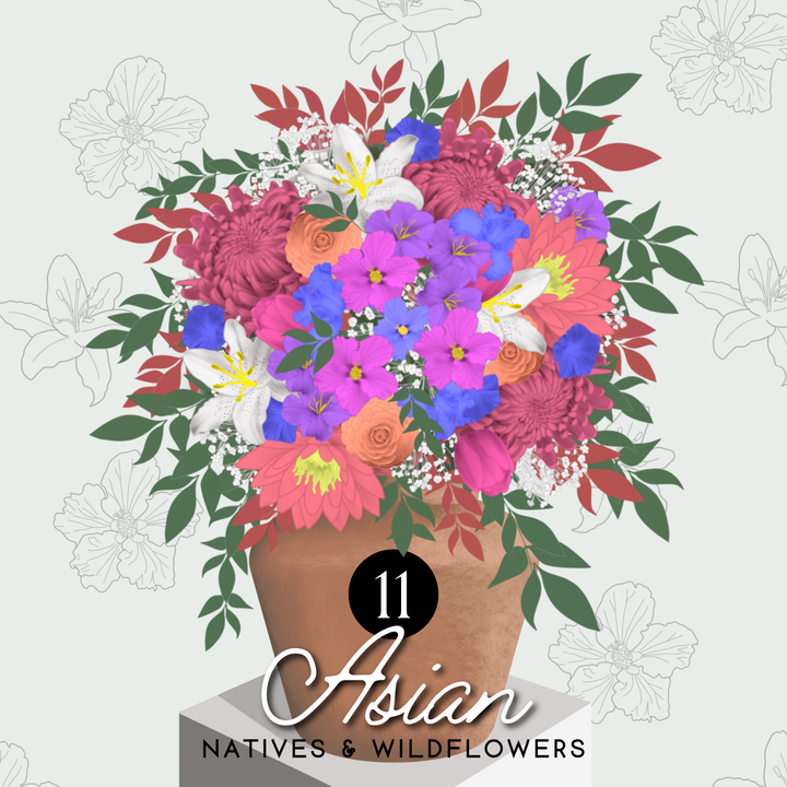 Natives & Wildflowers Edition - Flowers & Foliage Procreate Pack - Digital Cake Sketching